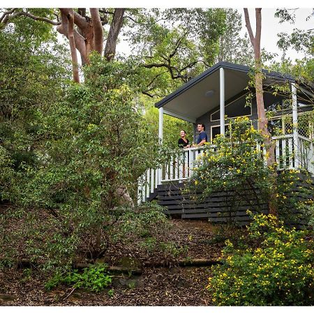 Discovery Parks - Lane Cove Sydney Bagian luar foto