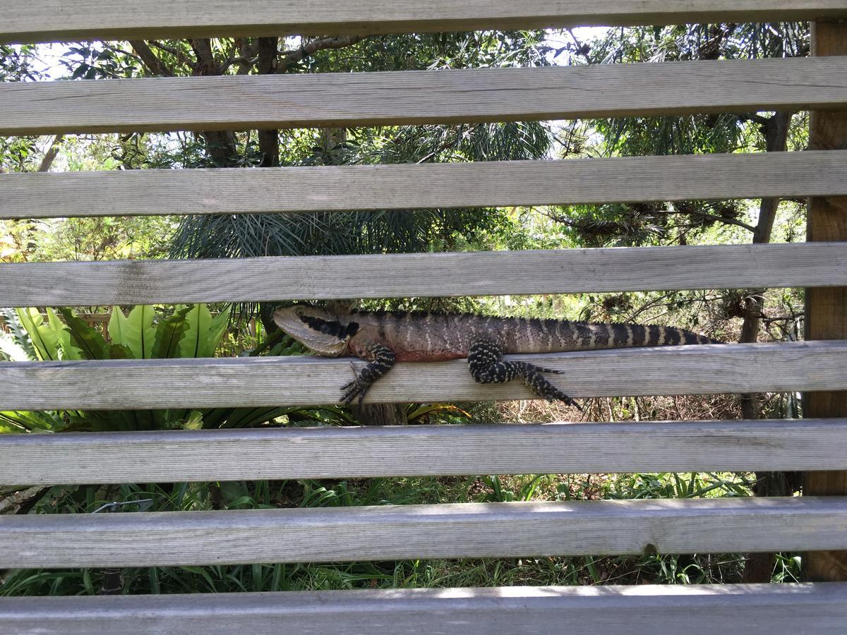 Discovery Parks - Lane Cove Sydney Bagian luar foto